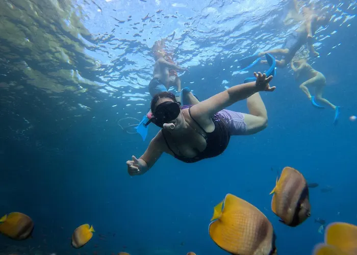 Botel Captain Coconut Snorkeling *