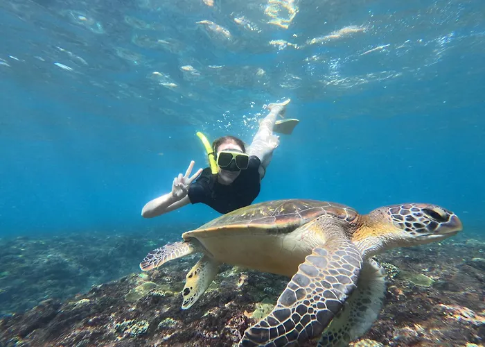 Botel Captain Coconut Snorkeling